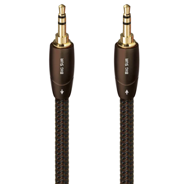 Big SurAudio Interconnect Cable