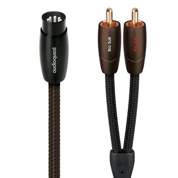 Big SurAudio Interconnect Cable