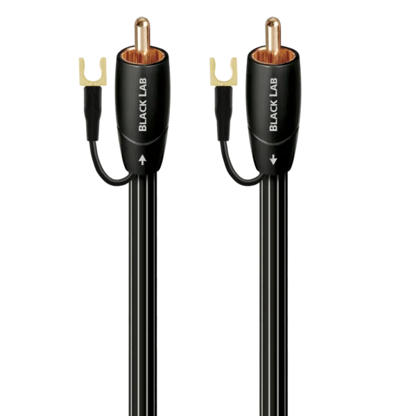 Black Lab RCA                  黑拉布拉多