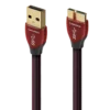 Cinnamon USB