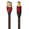 Cinnamon USB