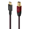 Cinnamon USB