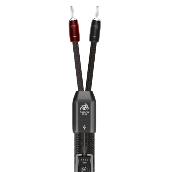 Dragon Bass 龍 低音 喇叭線