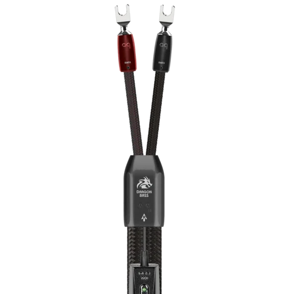 Dragon Bass 龍 低音 喇叭線
