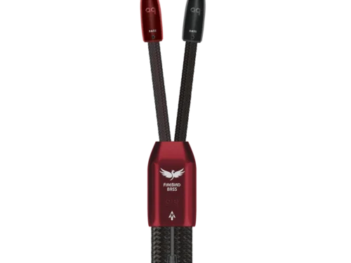FireBird Bass 火鳥 低音 喇叭線