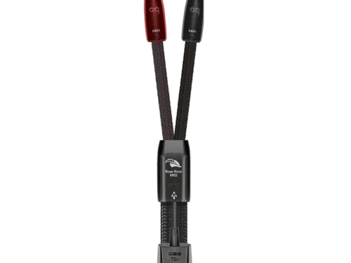 Robin Hood Bass羅賓漢 低音 喇叭線