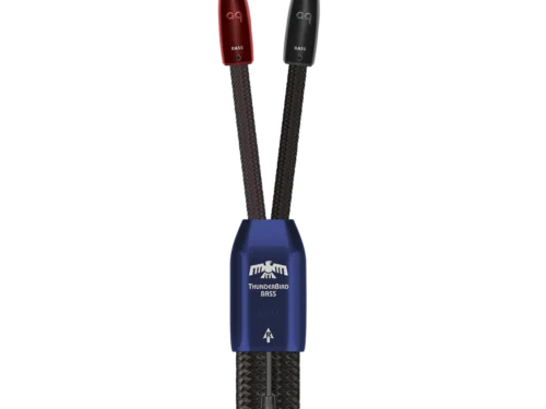 ThunderBird Bass 雷鳥 低音 喇叭線