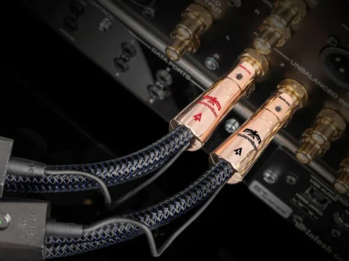 ThunderBird RCA雷鳥 RCA 訊號線