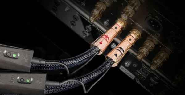 ThunderBird RCA雷鳥 RCA 訊號線