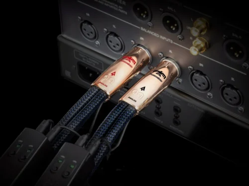 ThunderBird XLR雷鳥 XLR 訊號線