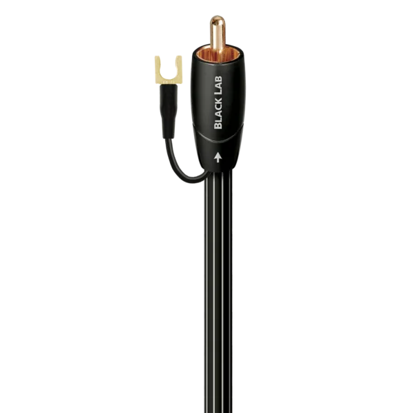 Black Lab RCA                  黑拉布拉多