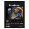 Blueberry 18