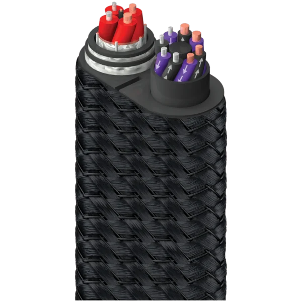 Dragon Bass 龍 低音 喇叭線