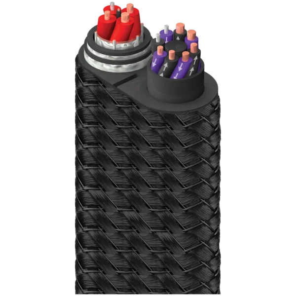 FireBird Bass 火鳥 低音 喇叭線